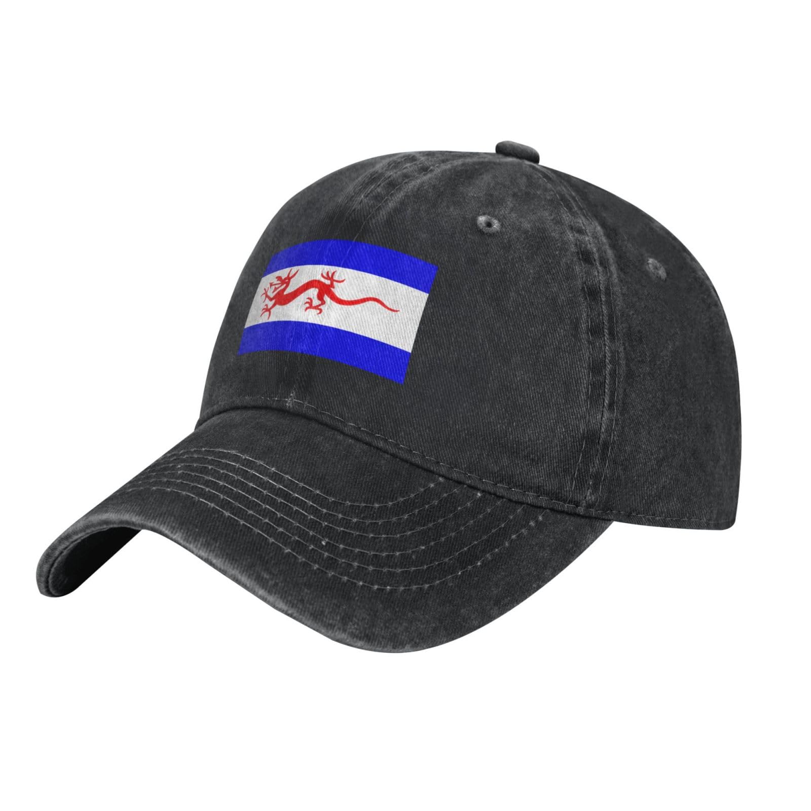 SMAZDFXX Flag of Y Wladfa Baseball Cap WomenMen Hat Adjustable Washed Golf Capss Black