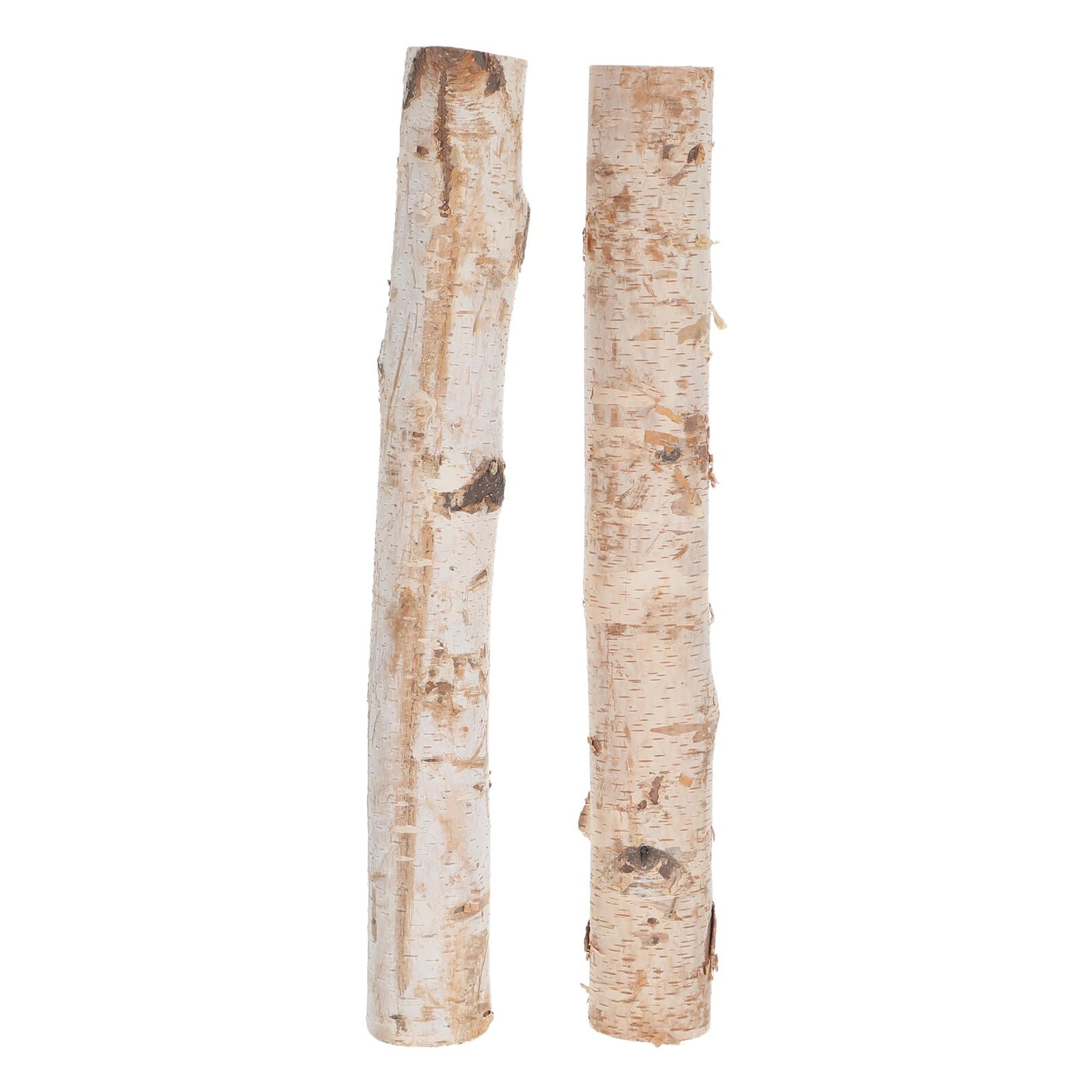 Lurrose 2 Pezzi Tronco di Legno di Betulla Naturale per Decorazioni Artigianali e Fai-da-te, Materiale Decorativo Facile da Integrare per Centrotavola Rustici ed Eleganti