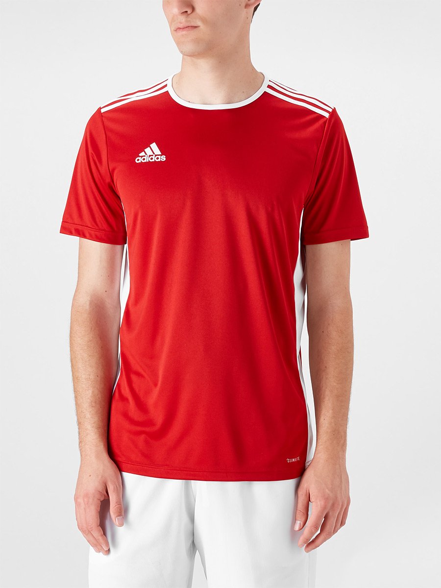 adidas Koszulka męska Entrada 18