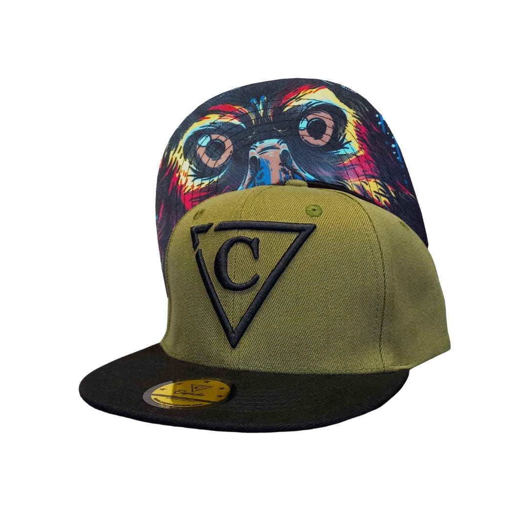 Capiche [99+ VARIACIONES] Gorra Snapback Nueva Colección Special Series Gris Oscuro — view 219