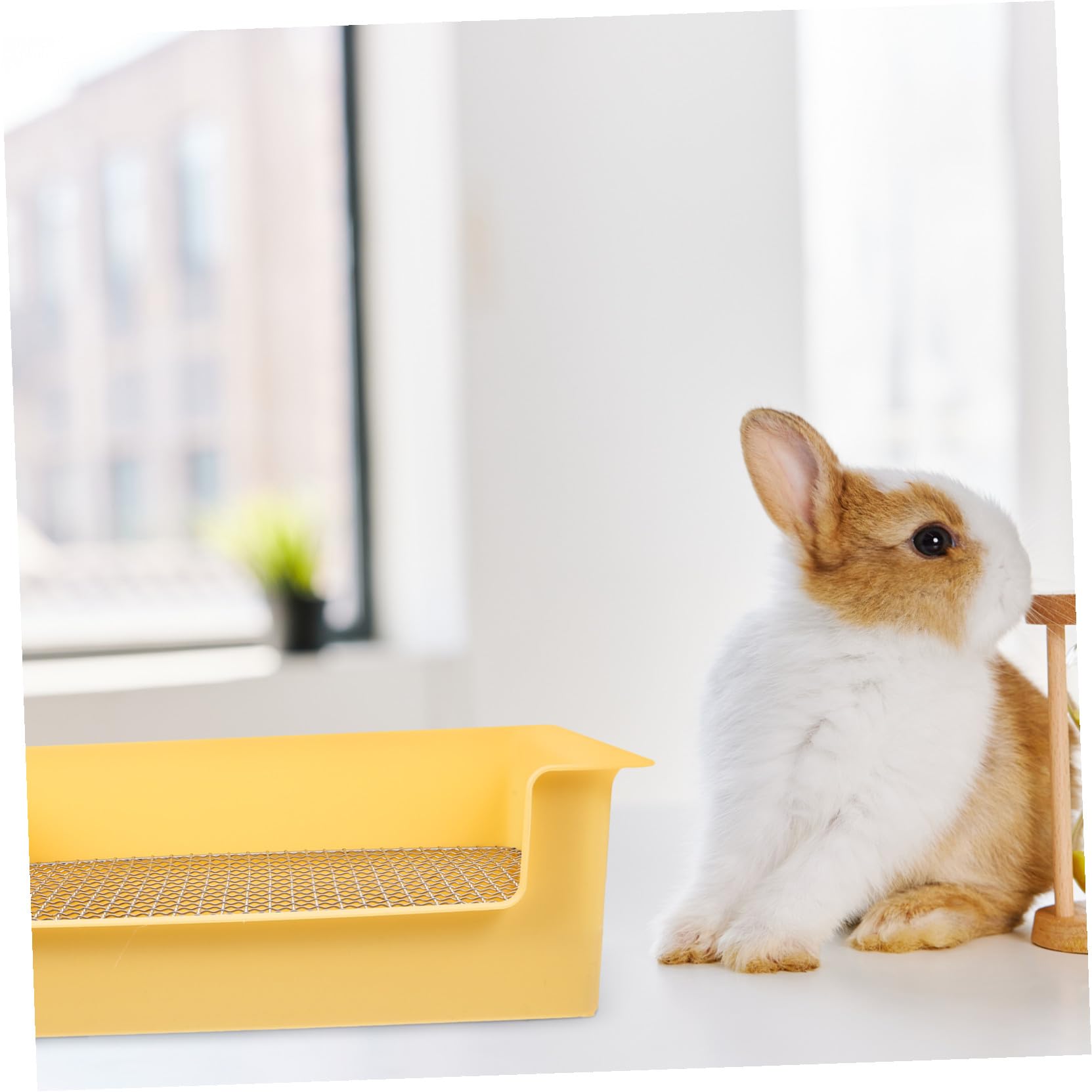 BESPORTBLE Toilette per Coniglietti Angolare in Plastica Gialla Bordo Sicuro per Addestramento Lettiera Animali Domestici Piccoli Come Porcellini D'india e Criceti