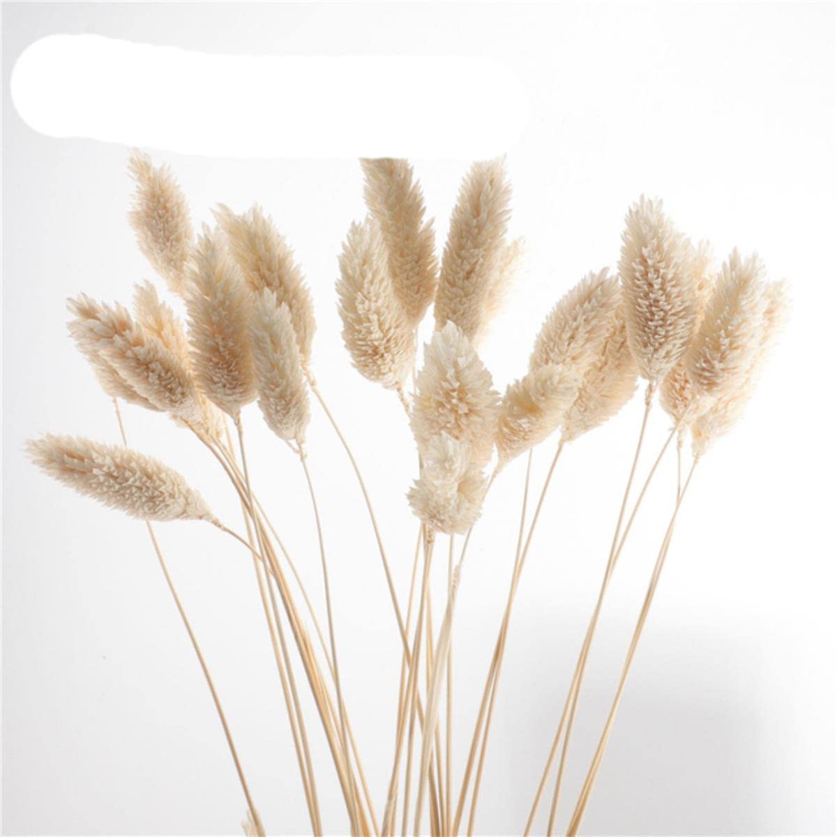 Dried artificial Flowers Bouquets Natural Simulation PlantsFor Home Decoration Living Room Wedding Real Happy ball Flower-creamy-white 16-20pc