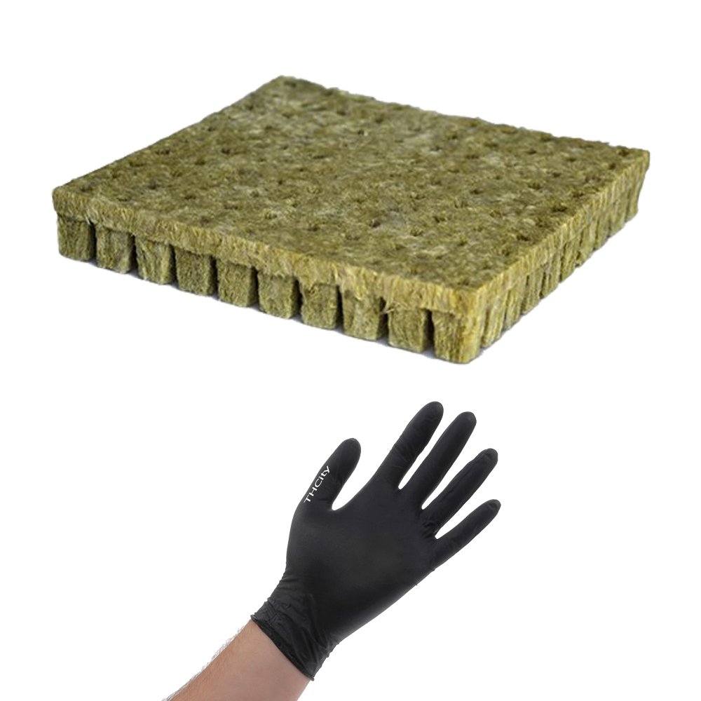GrodanStonewool Starter Cubes with THCity Gloves, Rockwool, 100 Sheets