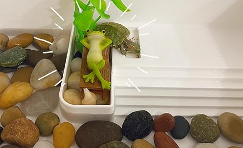 Miniatura 4 de Voulosimi Piedras de roca de río, piedras mixtas pulidas decorativas naturales, piedras decorativas para exteriores para acuarios de plantas,