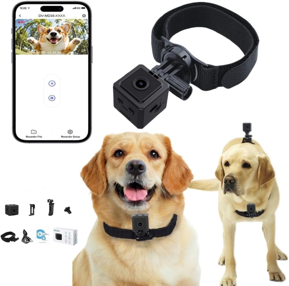 Caméra Magnétique Portable pour Animaux, Collier Caméra Chien Chat HD 1080p, Mini Action Cam Vue Subjective 120°, APP Enregistrement Cyclique, Monitoring...