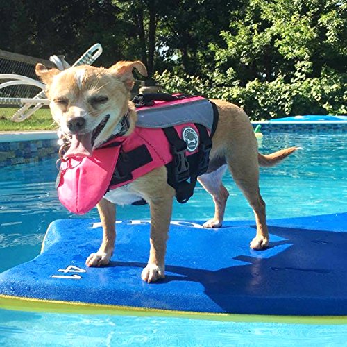 VIVAGLORY Dog Life Jacket with Removable Front Float, Life Vest for Dogs with Reflective Trims & Extra Padding for Swimming & Boating, Pink, XS - Thumbnail 6