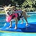VIVAGLORY Front Float Dog Life Vest, Dog Life Jacket for Swimming & Boating, Swimming Vest with Chin Float & Handle, Ripstop & Buoyancy for Puppy Doggy, S, Pink
