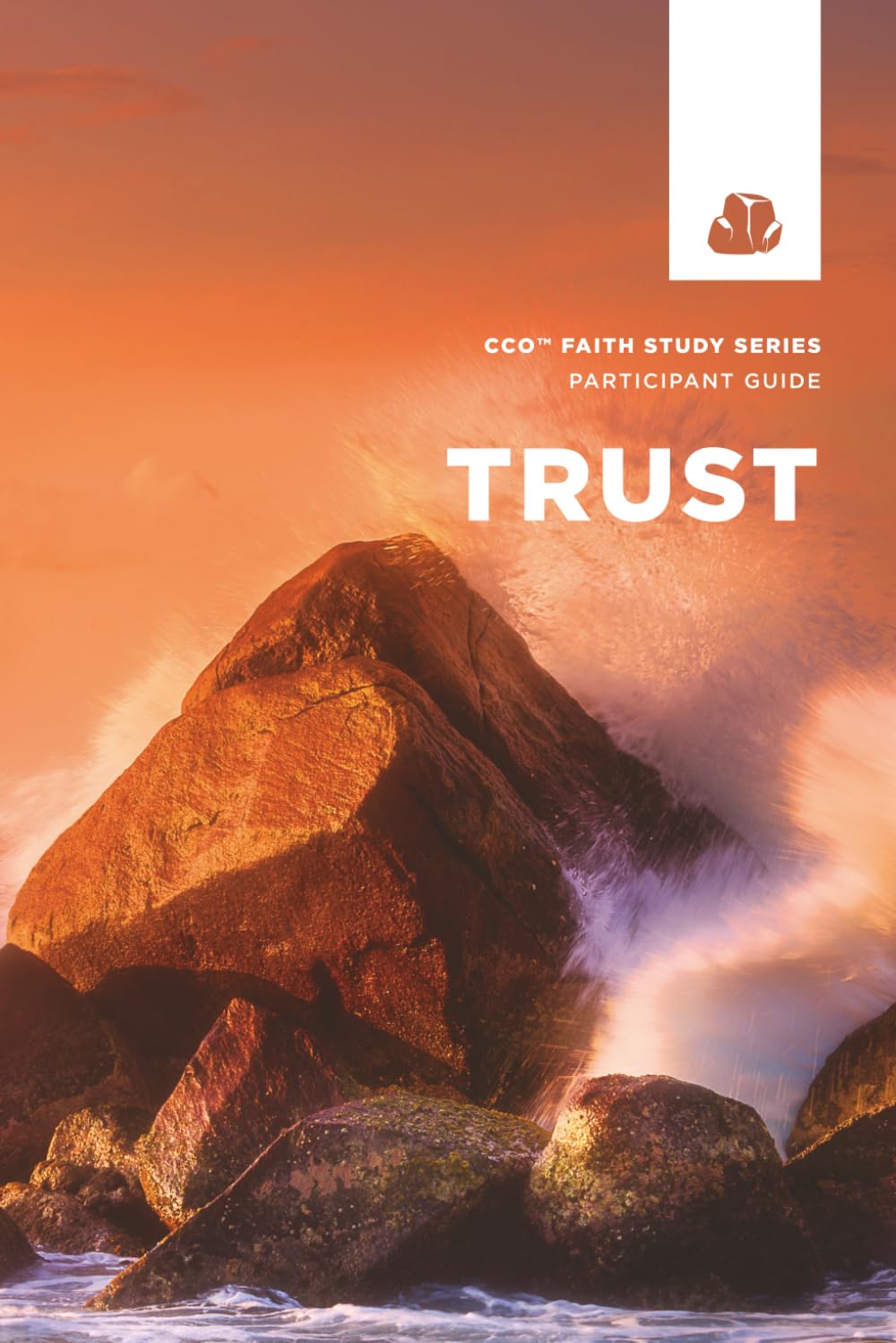 CCO Trust Faith Study: Participant Guide