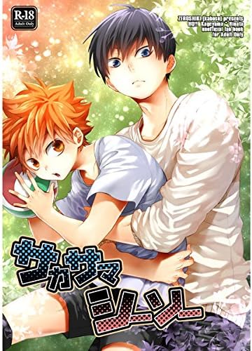 Amazon ハイキュー サカサマシーソー 影山飛雄 日向翔陽 アニメ 萌えグッズ 通販