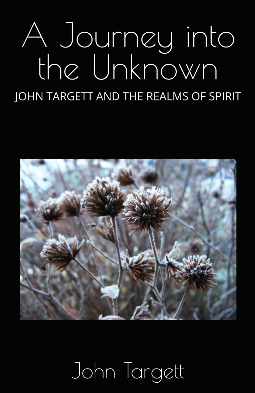 A Journey into the Unknown: JOHN TARGETT AND THE REALMS OF SPIRIT