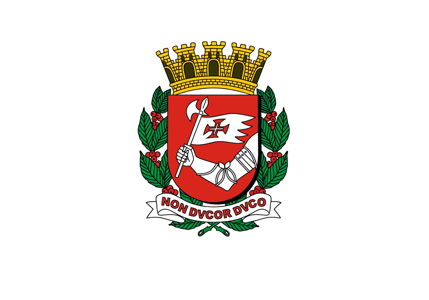 Drapeau São Paulo 1974-1987 grand format pour revivre l'histoire du Brésil