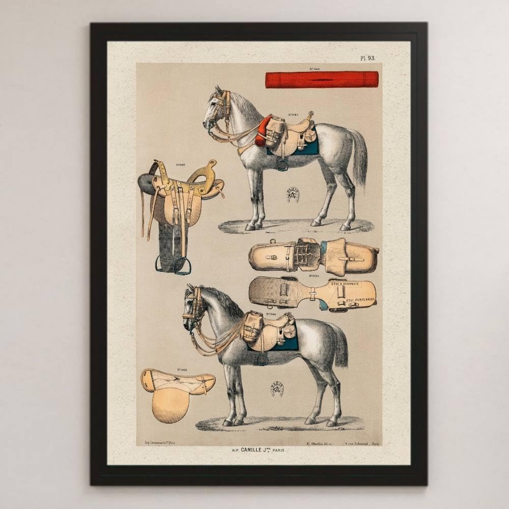 Amazon.co.jp: 中世の馬具 図鑑 イラスト アート 光沢 ポスター A3