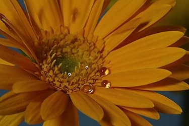 お客様イメージ