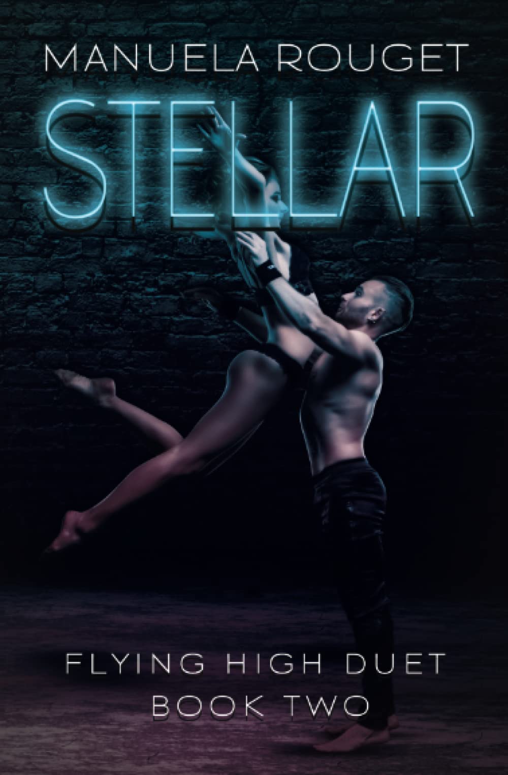 Stellar: A Reverse Harem, Poly Romance (Flying High Duet)