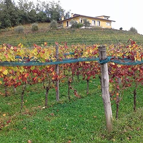 tenuta_colli_orientali