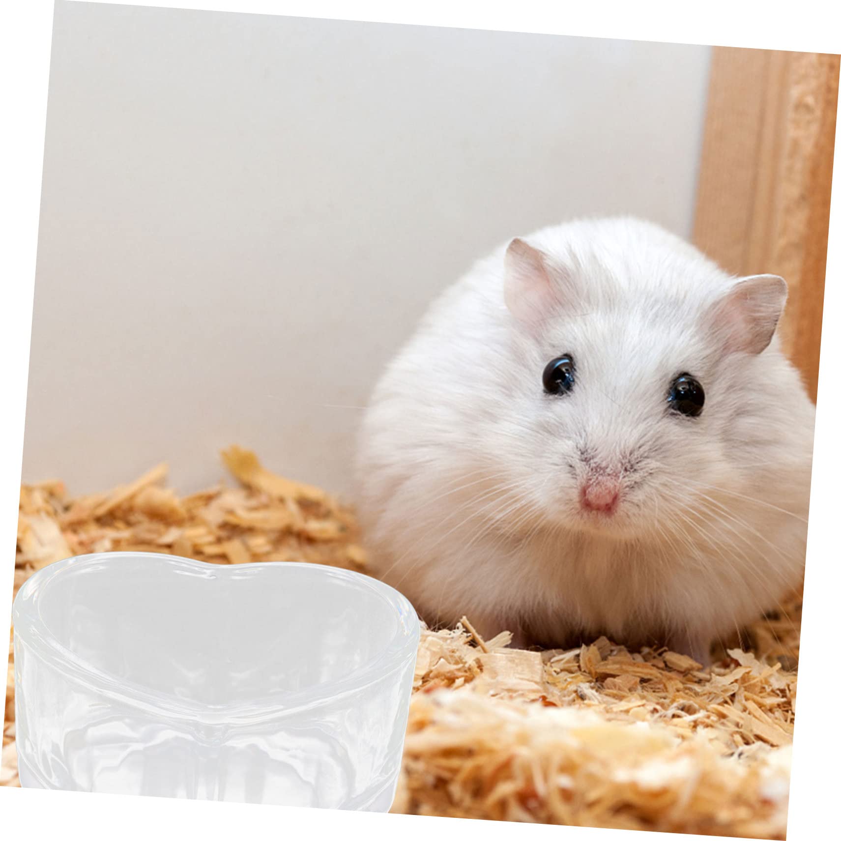 VANZACK 6pezzi Ciotole Trasparenti Per Criceti e Roditori Di Ciotole Antigoccia Per Cibo e Design Compatto e Sicuro Per Piccoli Animali Domestici Facili Da Pulire e Pratiche