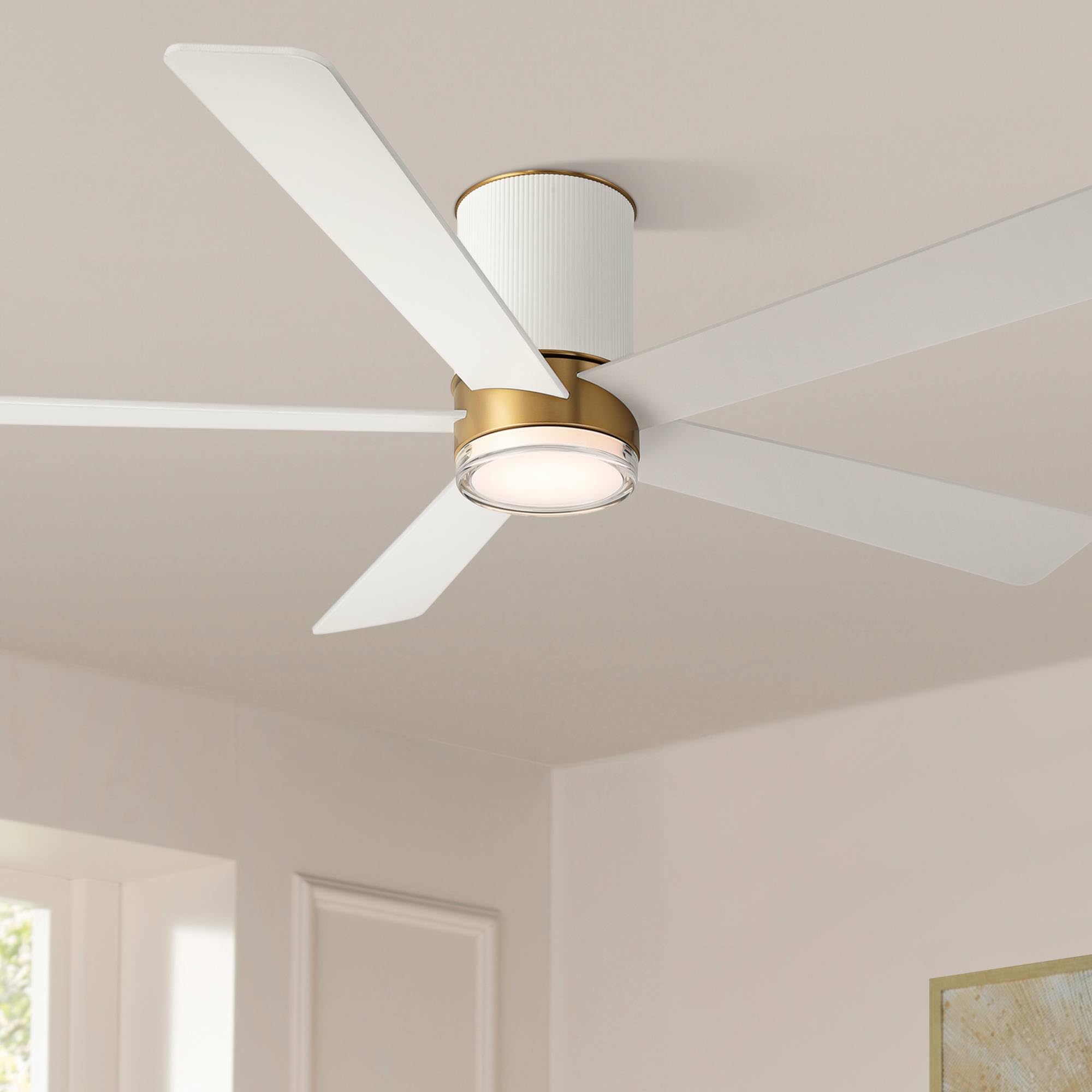 福本大晴 GARAGARA CHANCE SFF SUPER FAN FIRST Casa Vieja 56