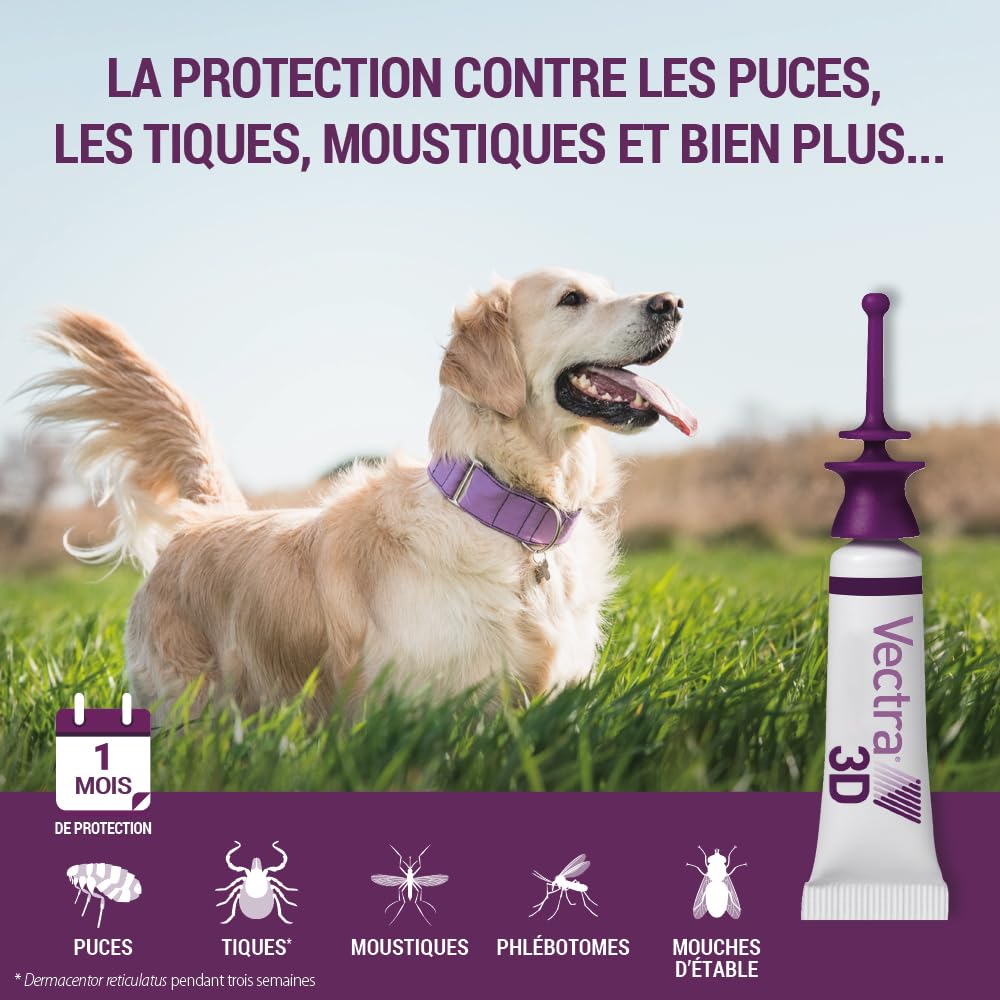 Vectra 3D Solution Spot-on pour Chiens > 25–40 kg - 3 pipettes