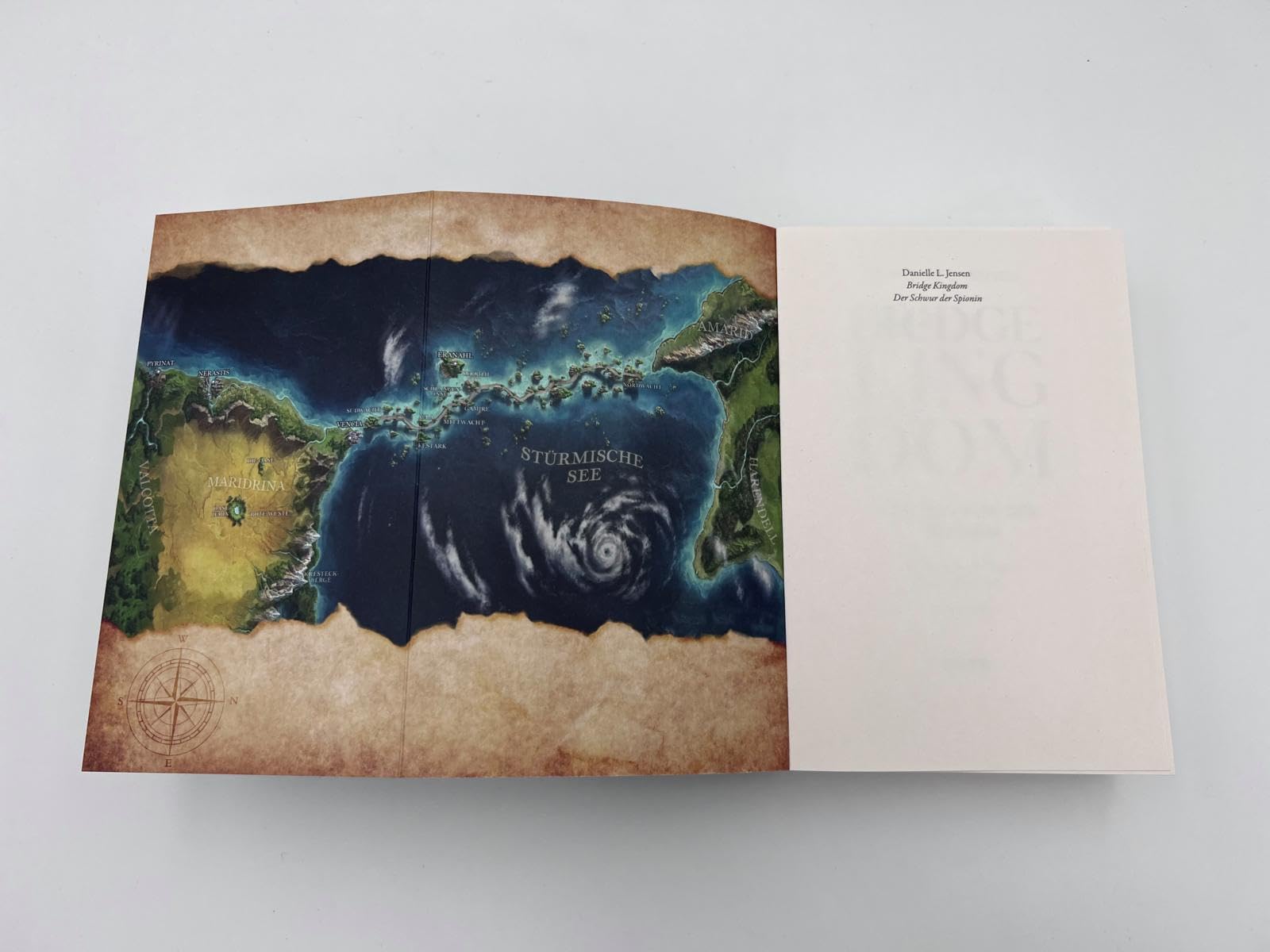 Bridge Kingdom – Der Schwur der Spionin (Bridge Kingdom 1): Roman | Der fesselnde TikTok-Erfolg aus den USA