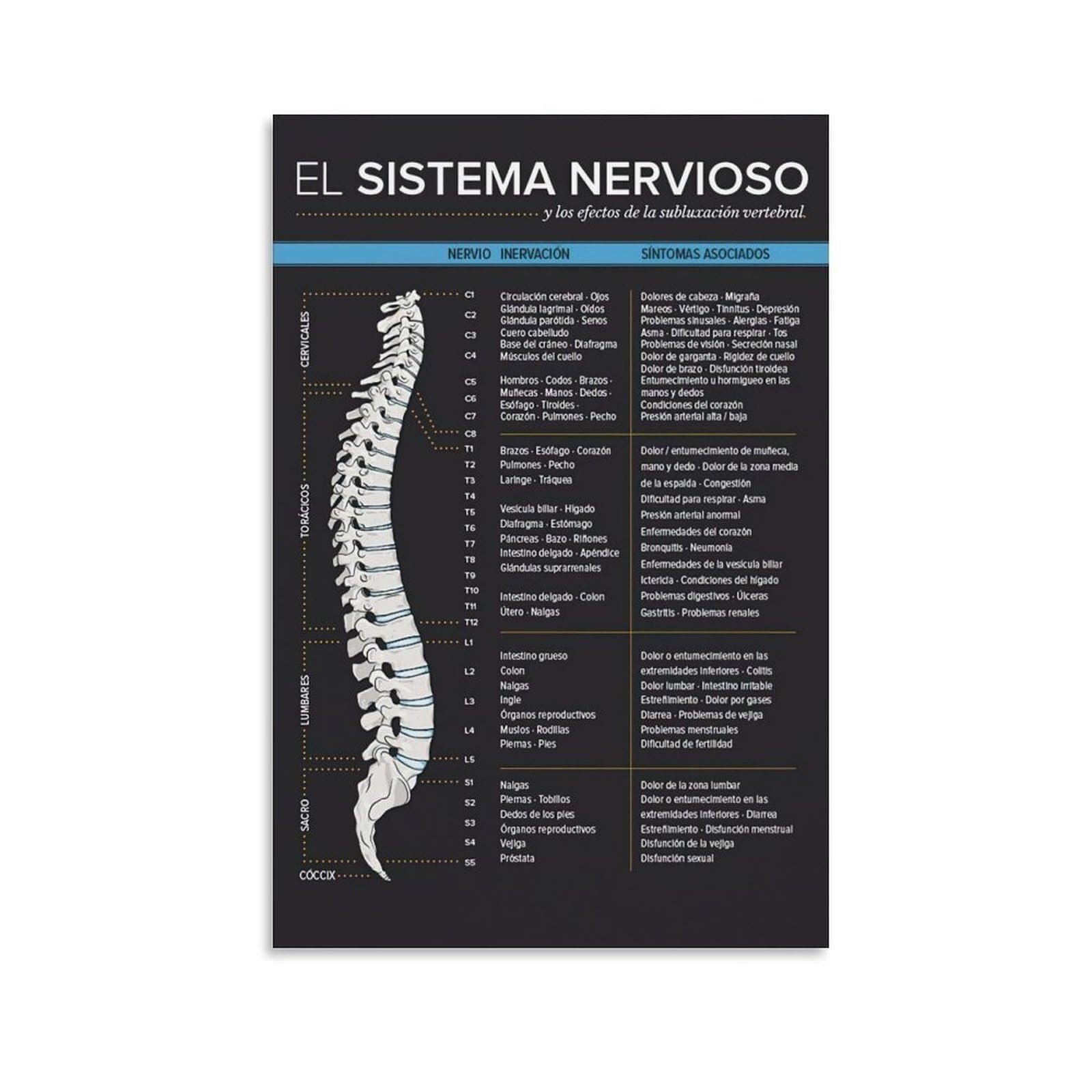 EKFBQBGW Vertebral Subluxation and Spinal Nerve Function Educational Chart Poster for Chiropractic Physical Unframed,12x18inch(30x45cm)