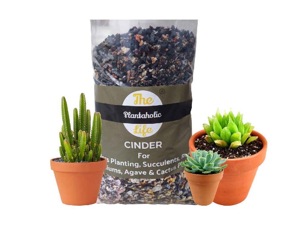 THE PLANTAHOLIC LIFE® (10KG) Pure Washed Cinder For All Desert Plants That Need Little Amount Of Water. 100% Washed Cinder For Succulents,Orchid,Agave,Snake Plant,Adenium And Roses.