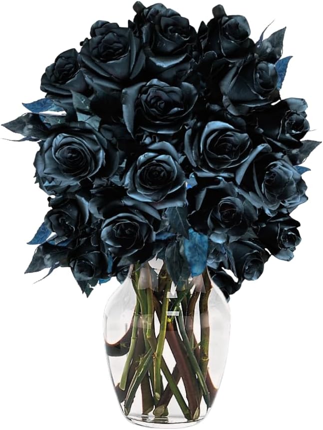 Farm Direct Fresh Blue Roses. | 24 Fresh Blue Rose Bouquet + Vase Included - Fresh Flowers Roses.