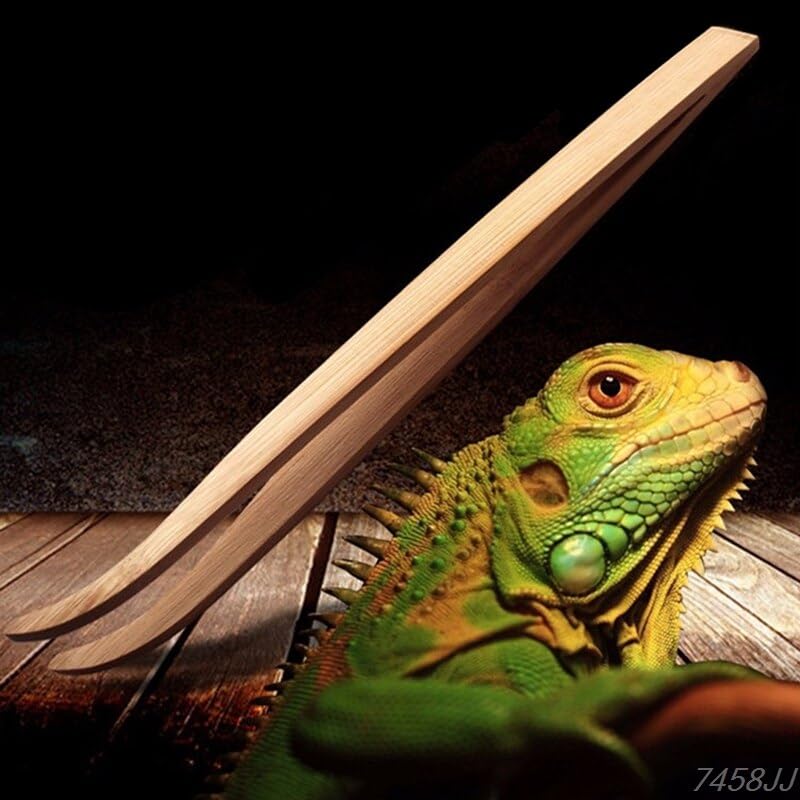 Amazon.co.jp: 爬虫類ピンセット 給餌ピンセット 爬虫類 竹製