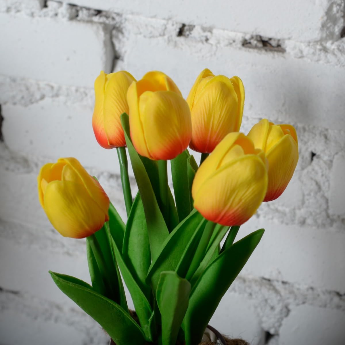 LED Nuage Lampe Tulipe Lampe,Tulipe Nuage LED Veilleuse,Lampe De Table Tulipe À LED,Simulation Fleur Chambre Sommeil Lampe De Table Chevet Sommeil Lumière(A)