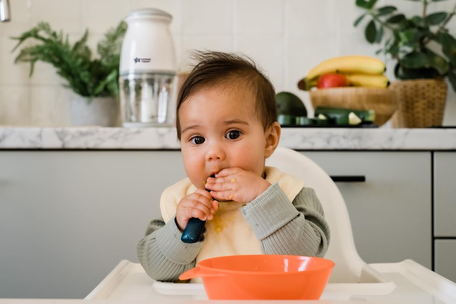 61CifeJzGVL._AC_SL1500_ Tommee Tippee Quick-Chop Mini Baby Food Blender and Chopper for all Stages of Weaning, Durable Glass Bowl and Stainless Steel Blades, 500ml Capacity, 200W Motor, White and Clear, 1.0 count (447851)