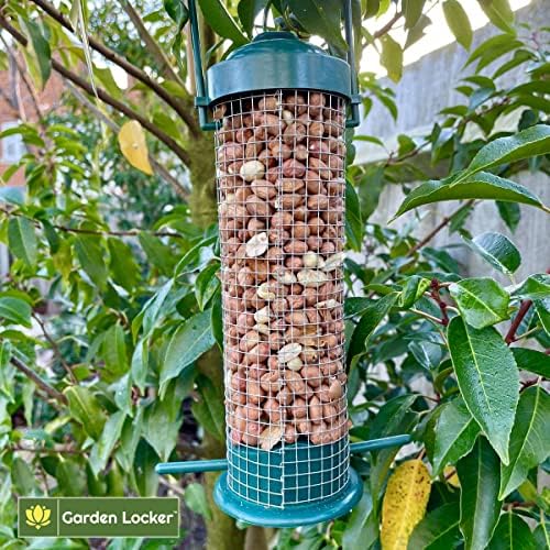 Plastic Peanut Bird Feeder for Outdoor Birds - Attracts a Variety of Birds To Your Garden