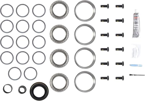 Dana Holding Corporation 10038967 - Dana Spicer Differential Rebuild Kit