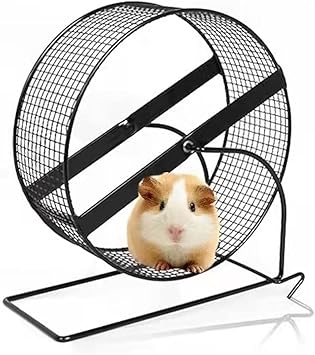 Amazon Co Jp ミニハリネズミ ハムスタ 小動物ランニングホイールサイレントスポーツランニングホイール壁掛けランニングホイール用品 ハムスター回し車 静音回し車 サイレントホイール 夜も静か 安全 丈夫で安全 17cm ペット用品