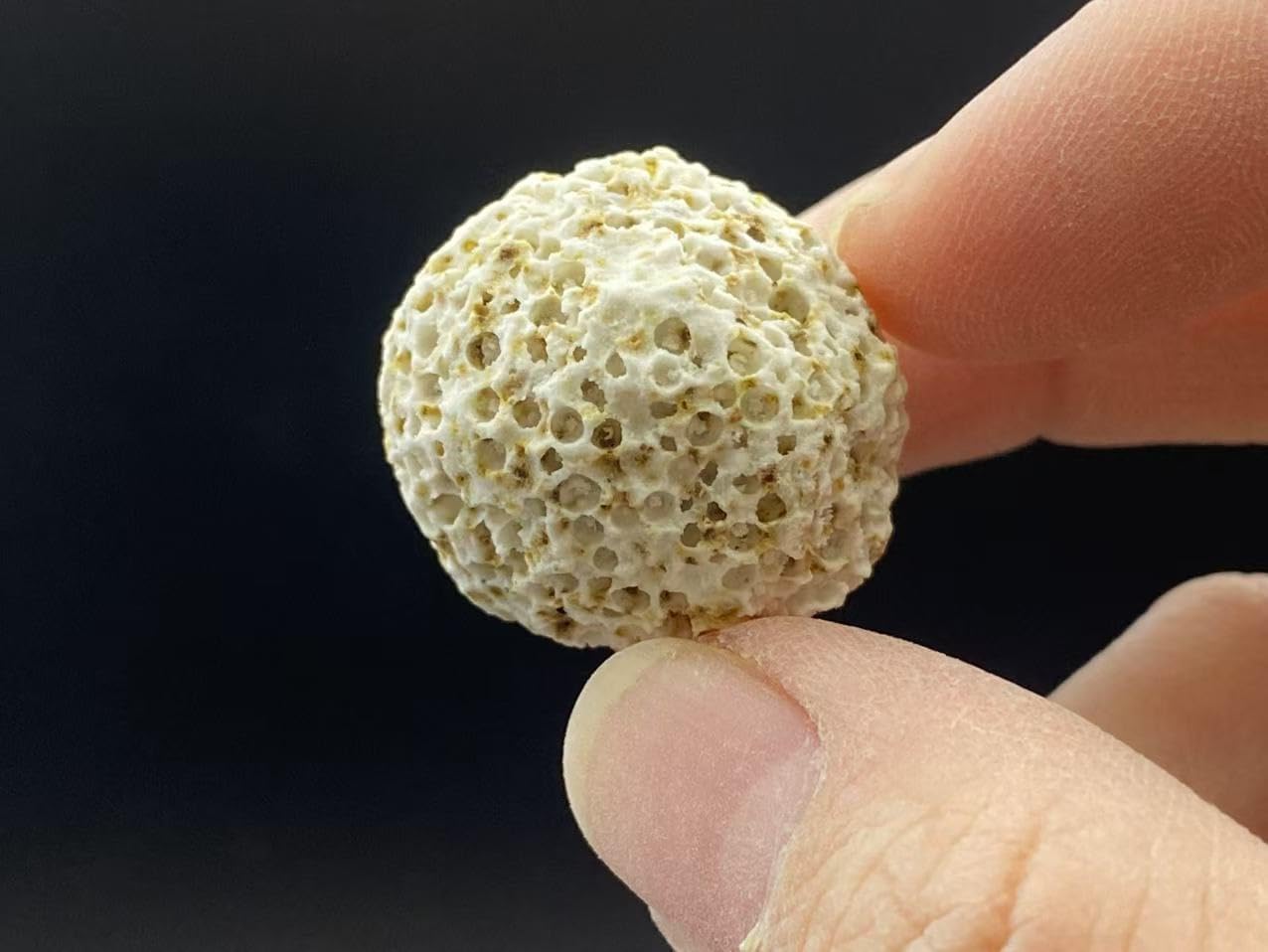 濾過材ボールろ材 納豆菌入り多孔質パワーボール (20L) 水槽用 ろ過材