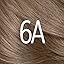 6 Light Ash Brown