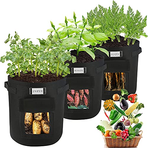 家庭菜園の人気おすすめランキング35選 プランターやキットも セレクト Gooランキング