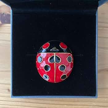 ジョジョの奇妙な冒険 ジョジョ展　冒険の波紋　ジョルノ　ブローチ てんとう虫 61274UOl7CL._UF350,350_QL50_.jpg