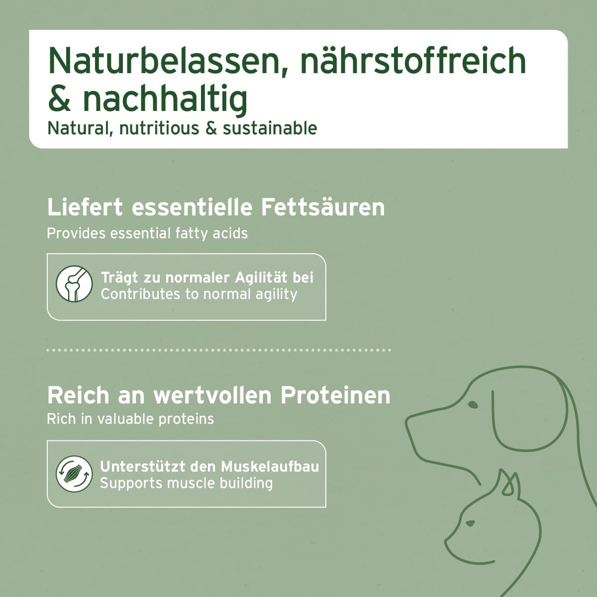 AniForte Muschelkraft für Hunde & Katzen 250 g - 100% natürliche Blaumuschelpulver mit Omega-3 & Omega-6 für Gelenke, Vitalität, Fell & Haut