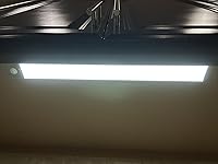 Review Image by Daniel C. Daniel C.