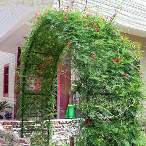 Arco de metal para jardín ideal para crear románticos senderos de rosas 5
