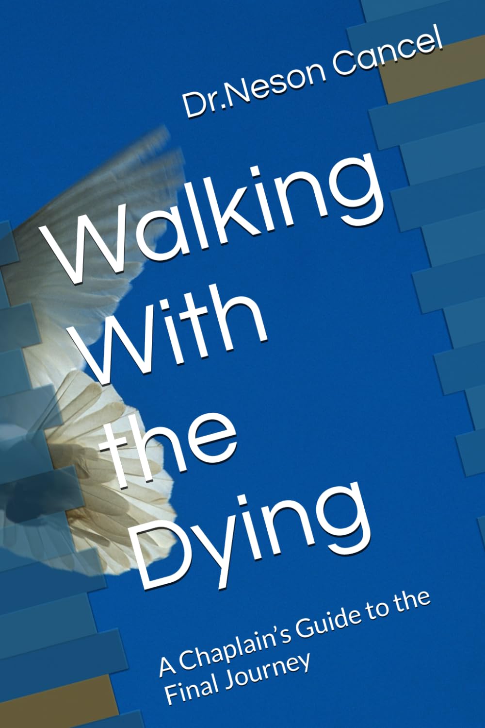Walking With the Dying: A Chaplain’s Guide to the Final Journey