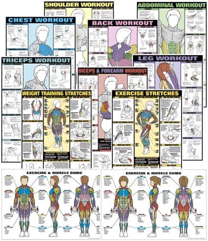 Set of Fitnus Chart Series II NFC1 Thru NFC13 24" X 36" Laminated (Set of 13)