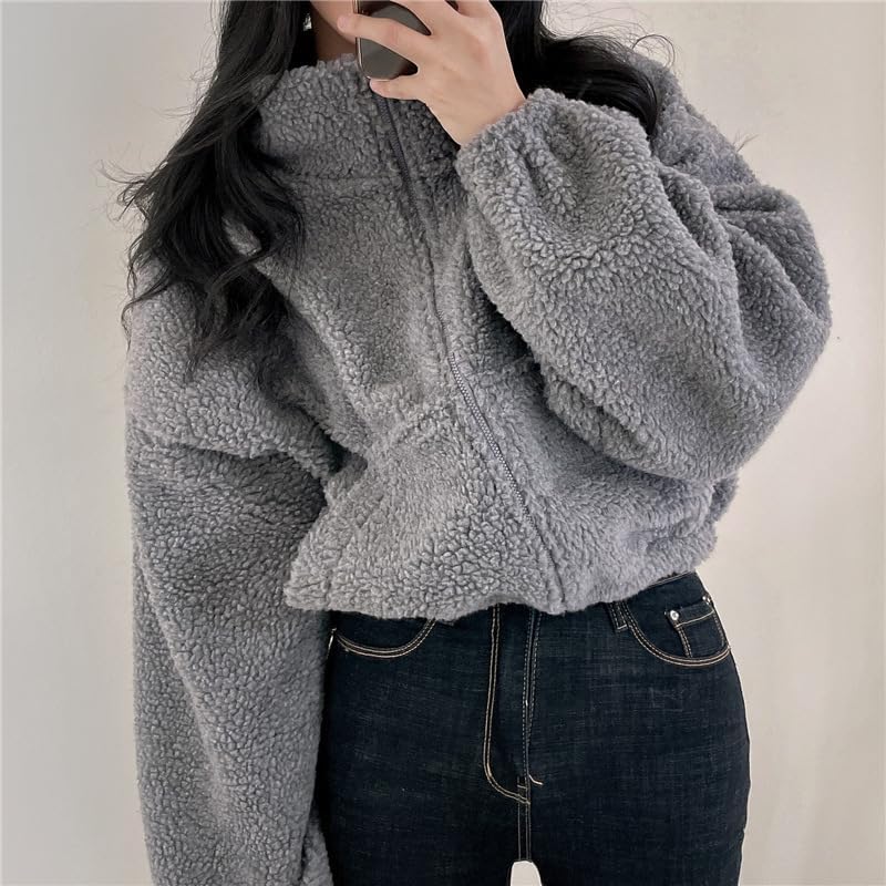 Tooe Y2K Fleece Zip-Up Jacket for Women Grunge Emo Cropped Sherpa Coat Acubi High Neck Zip Cardigan Alternative Streetwear