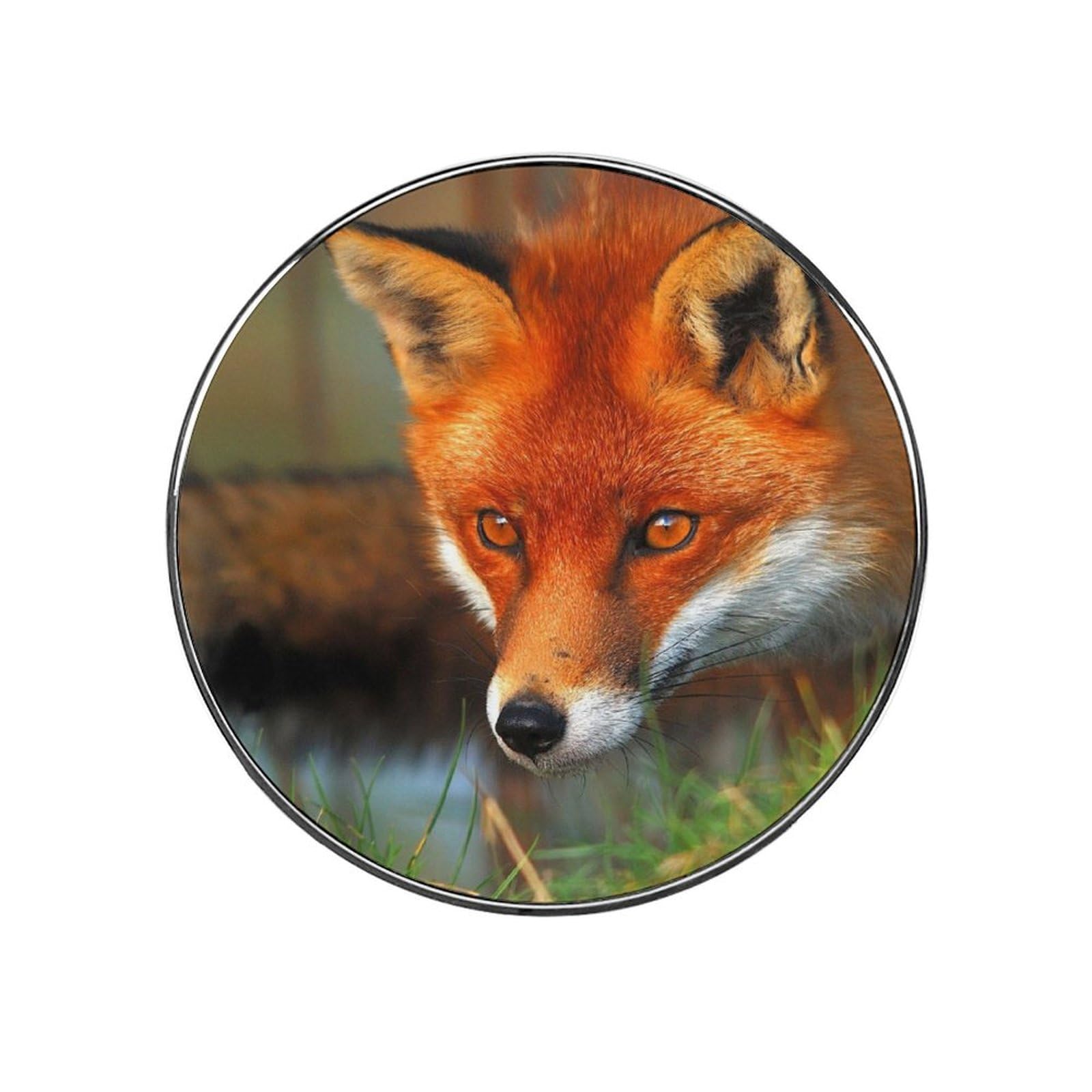 Fox Alloy Fridge Magnet For Office Cabinet Refrigerator Whiteboard Photo