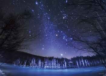 61Cjm7HNFYL._AC_UF350,