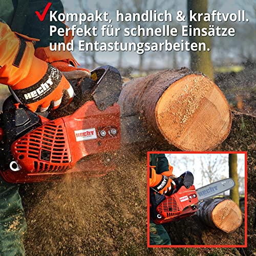 HECHT Benzin Kettensäge – 25,4 cm³ Hubraum – 30 cm Schwert – Rückschlagbremse – Kette – Kettenschmierung – 12 m/s… – Bild 4