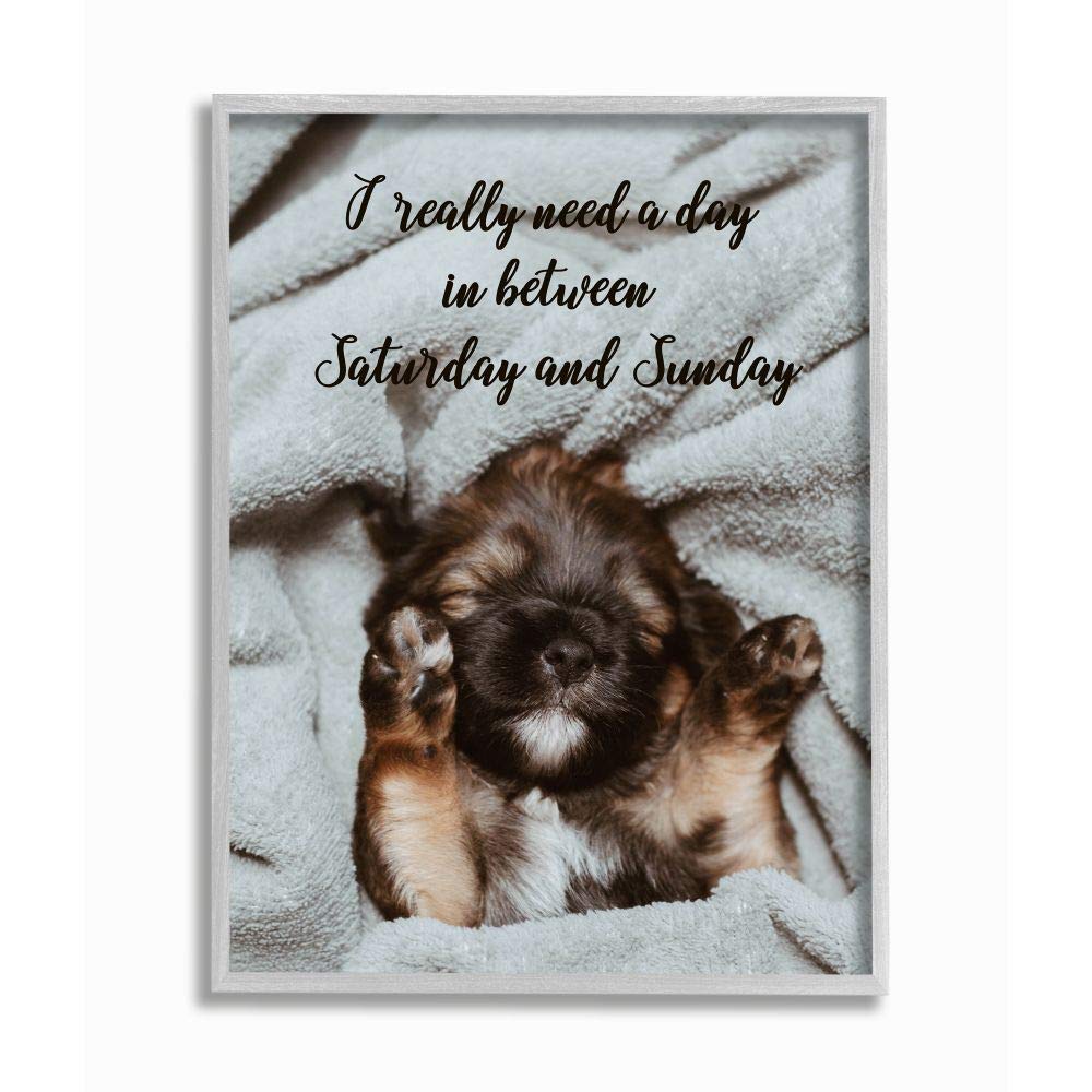 Stupell Industries Three Day Weekend Phrase Funny Puppy Pet Humor