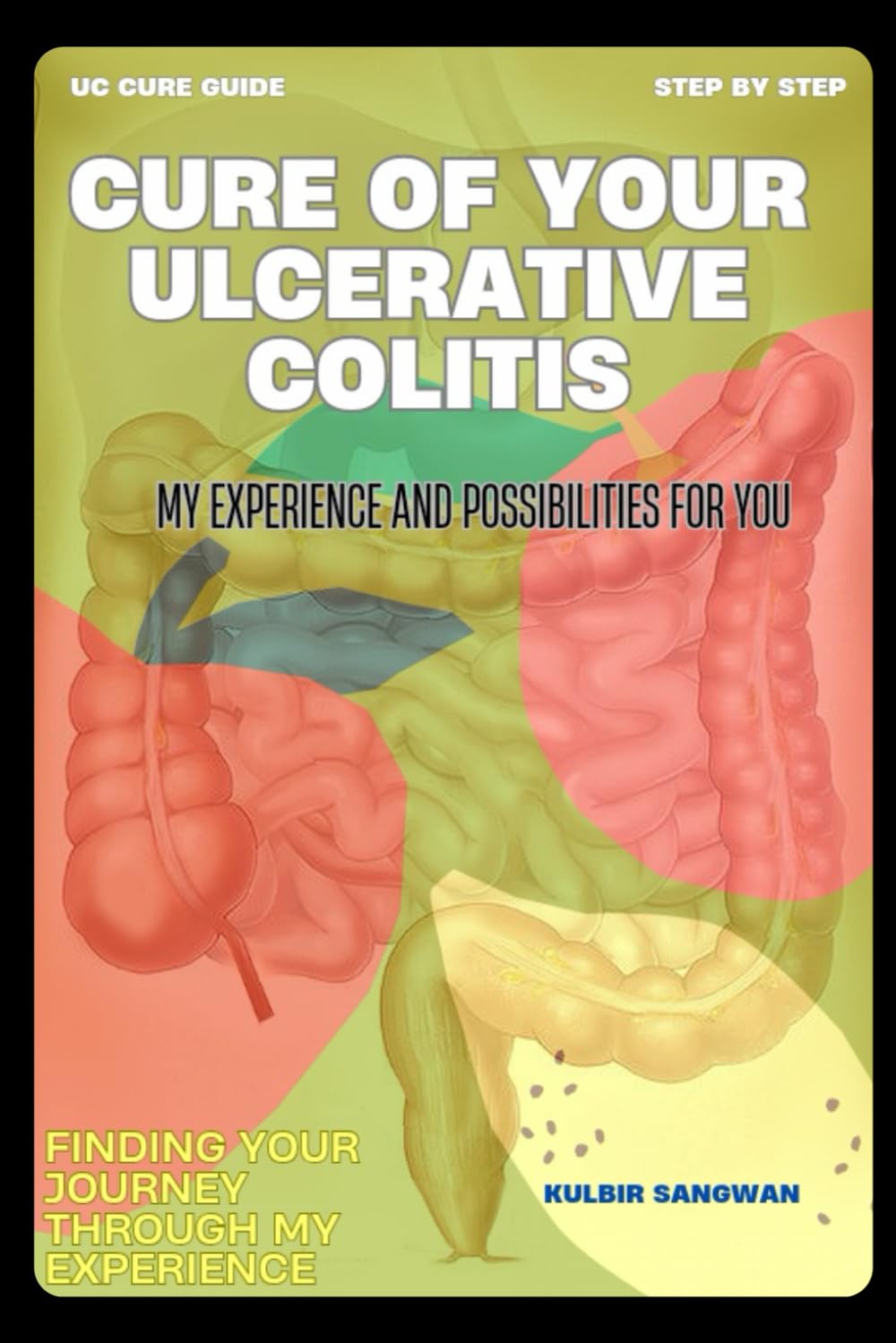 Cure of your Ulcerative Colitis: My Experience and possibilities for you