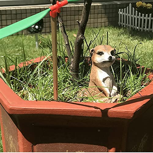 Simulation mangouste résine pour animer un jardin trop vide - 2