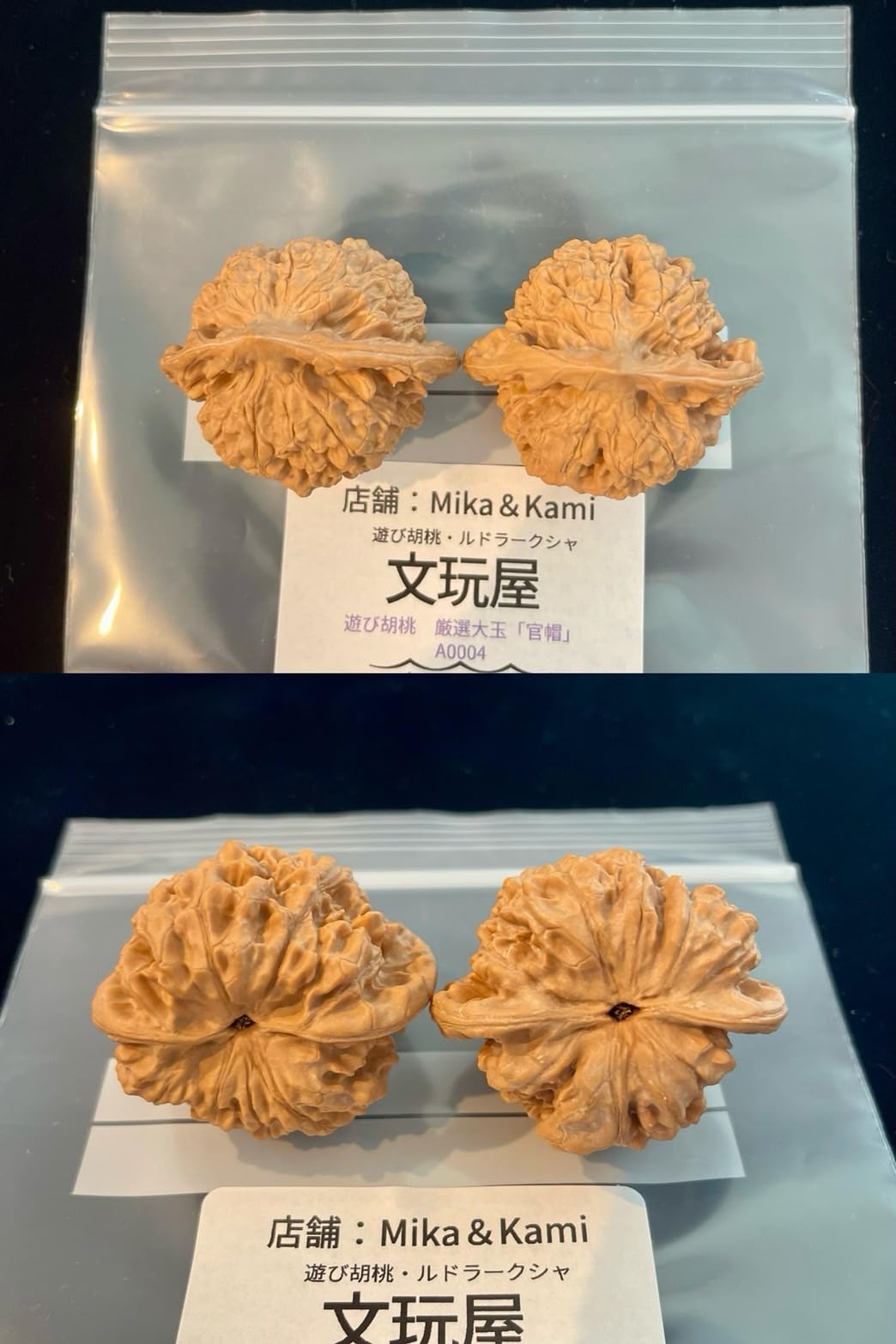 Amazon | 文玩屋 遊び胡桃 厳選大玉「官帽」A0004「手で遊び育てる