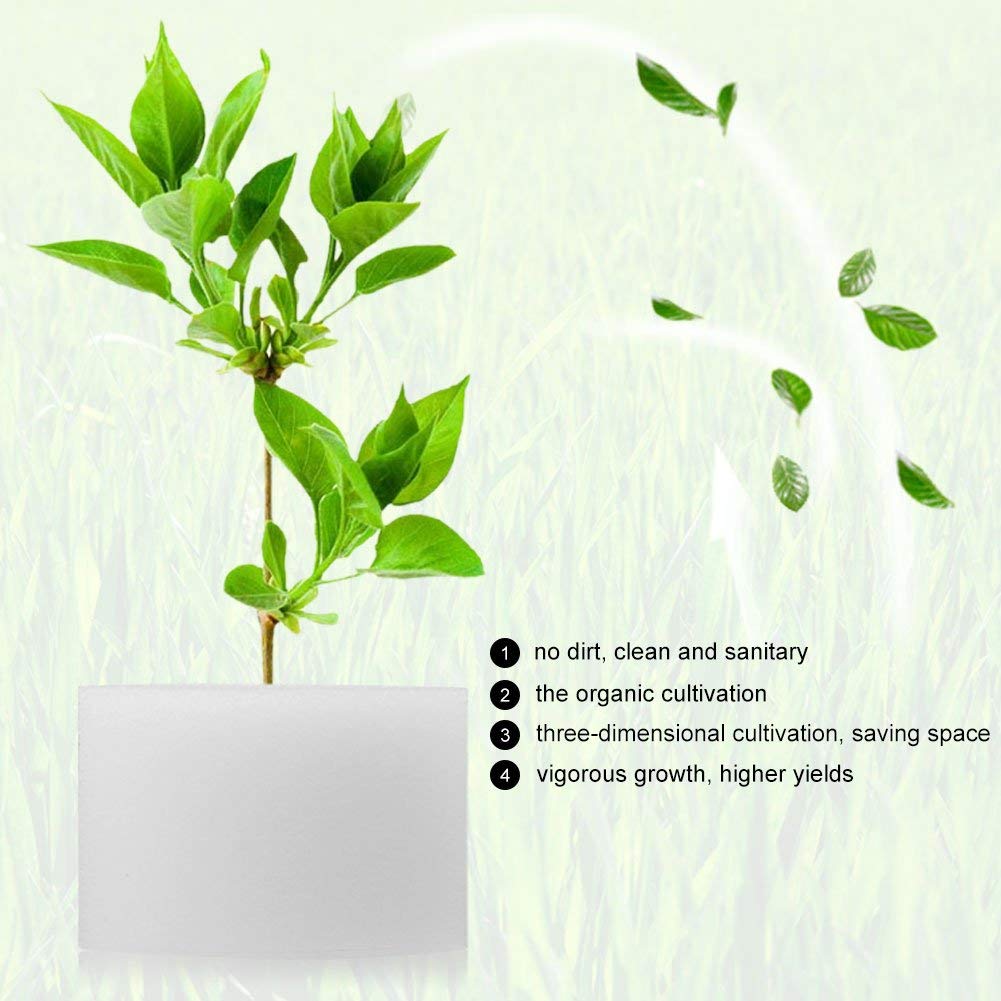 Viagasafamido 50 Unidades Esponjas Hidropónicas para Cultivo Sin Suelo - Esponjas para Plantones de Vegetales, Jardinería Y Germinación (44 X 30 Mm)
